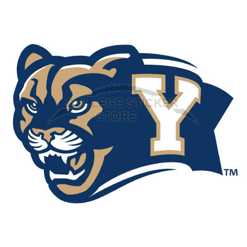 Customs Brigham Young Cougars Iron-on Transfers (Wall Stickers)NO.4024